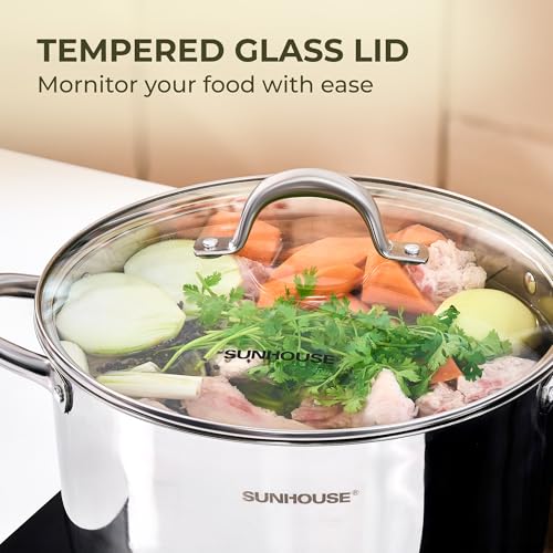 13 Quart Stock Pot with Lid