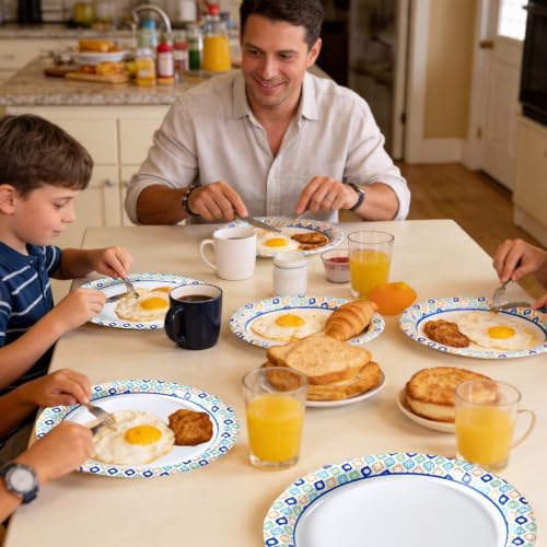 8.375 Inch Paper Plates (288 Count)