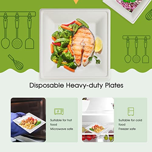 120 Pack Compostable Paper Plates Disposable (60 Count)
