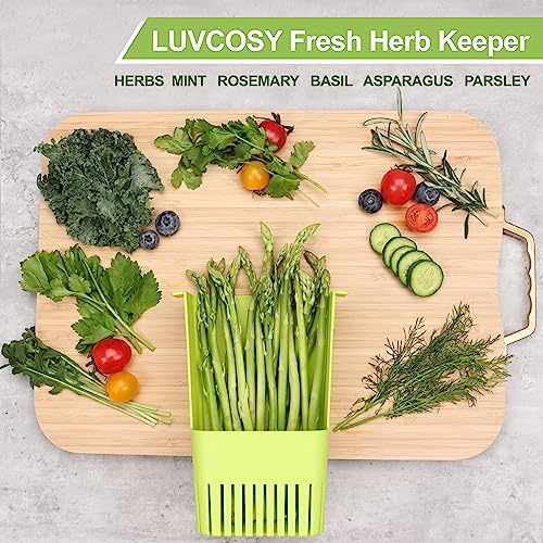 Herb Keeper Set