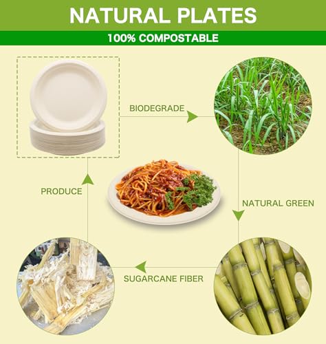 100% Compostable Disposable Paper Plates Heavy Duty Waterproof Plates (50 Count)