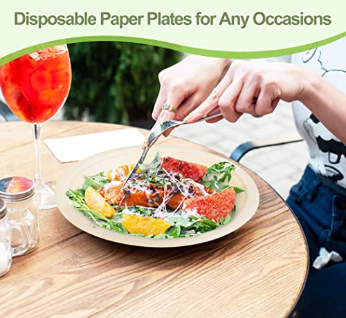 Disposable Paper Plates 9 inch (50 Count)