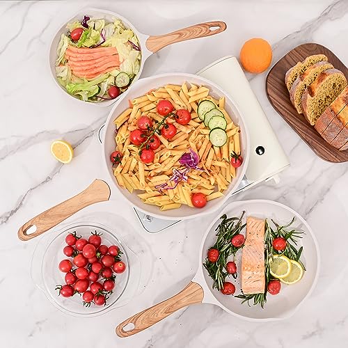 9.5 Inch Nonstick Frying Pan Skillet with Dual Spouts Omelet Egg Pan