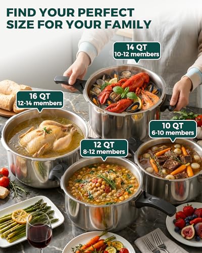 Stainless Steel Pressure Cooker