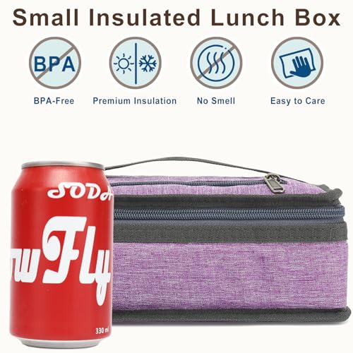 Small Insulated Lunch box Portable Soft Bag Mini Cooler Thermal Meal Tote Kit with Handle for Work & School