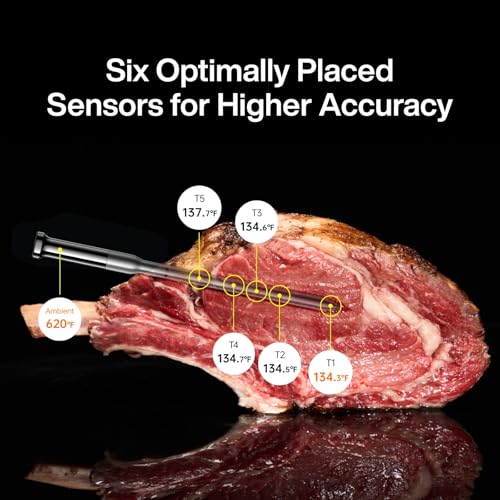 Sync Gold Wireless WiFi Meat Thermometer (4 Count)