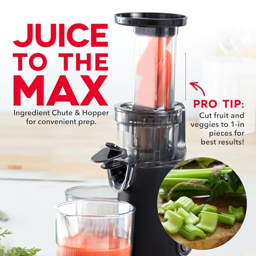 Deluxe Compact Cold Press Juicer