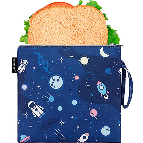 Reusable Sandwich Bag