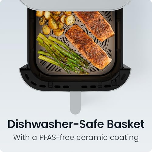 Crispinator Air Fryer 6