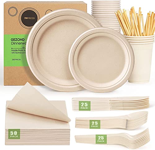 Compostable Paper Plates Napkins Set 250pcs Disposable Plates