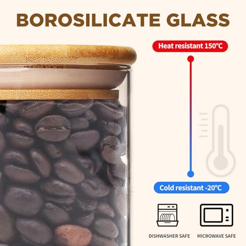 17oz Glass Food Storage Jars (12 Count)