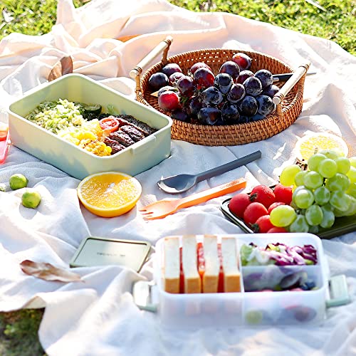 Stackable 2 Tier Adult Bento Box