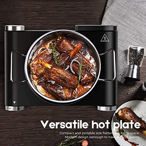 Hot Plate Electric Burner Single Burner Cast Iron hot plates for cooking Portable Burner 1500W with Adjustable Temperature Control Stainless Steel Non