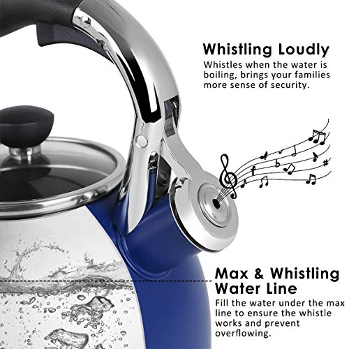Whistling Tea Kettle for Stove Top