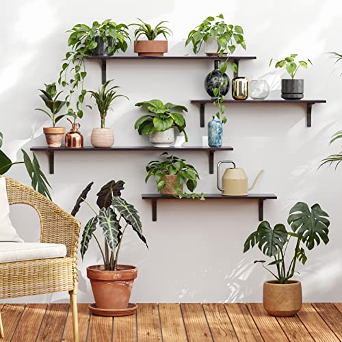 Long Wall Shelves (2 Count)