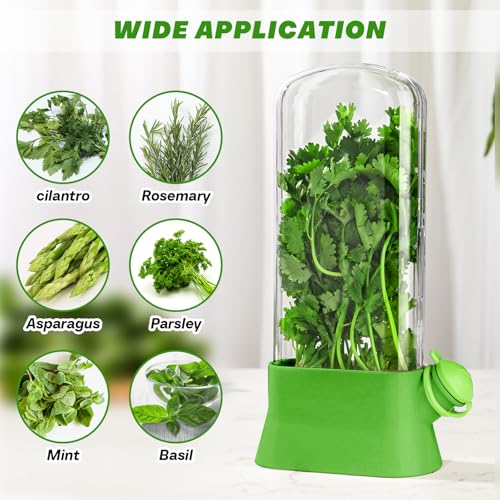 2 Pieces Herb Saver for Refrigerator Fresh Herb Keeper Cilantro Container for Fridge Saver Pod for Cilantro (2 Count)