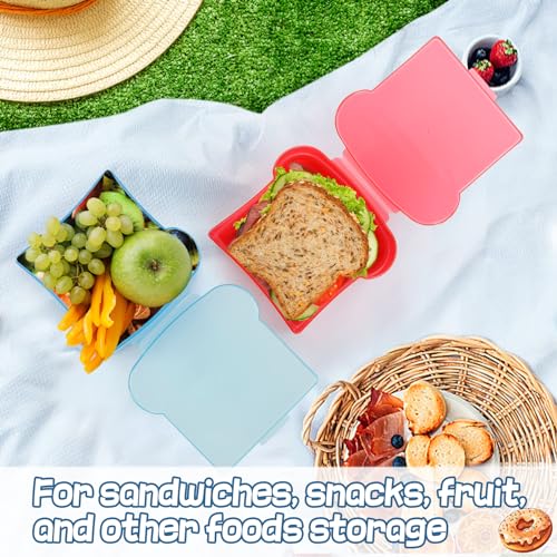 20 Oz Sandwich Containers for Kids (2 Count)