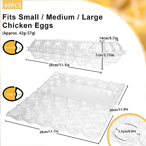 40 Pack Egg Cartons (40 Count)