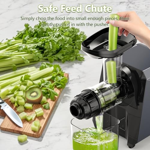 2-In-1 Masticating Fruit Vegetable Juicer Machine & Electric Coffee Grinder