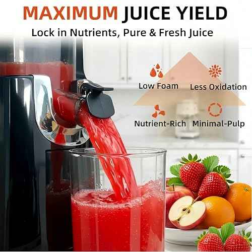 Cold Press Juicer Machines