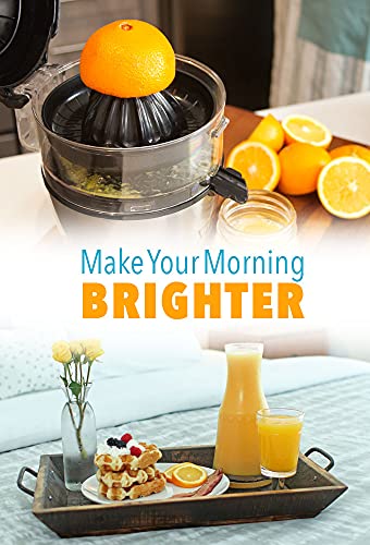 Electric Juicer