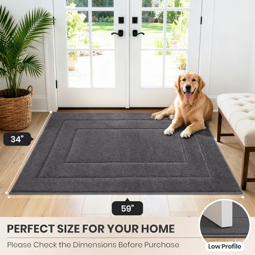 Dirt Trapping Door Mat Indoor Entrance