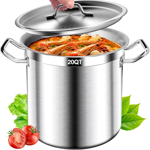 Stainless Steel Stock Pot with Lid