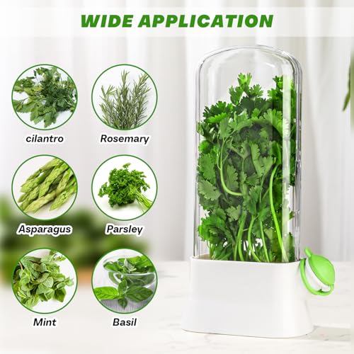 2 Pieces Herb Saver for Refrigerator Fresh Herb Keeper Cilantro Container for Fridge Saver Pod for Cilantro