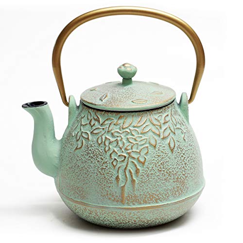 Tea Kettle for Stove Top