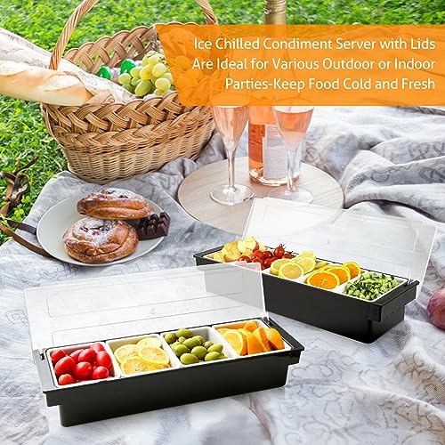 Ice Chilled Condiment Caddy with Lid and 4 Removable Trays (88.1849 Ounce)