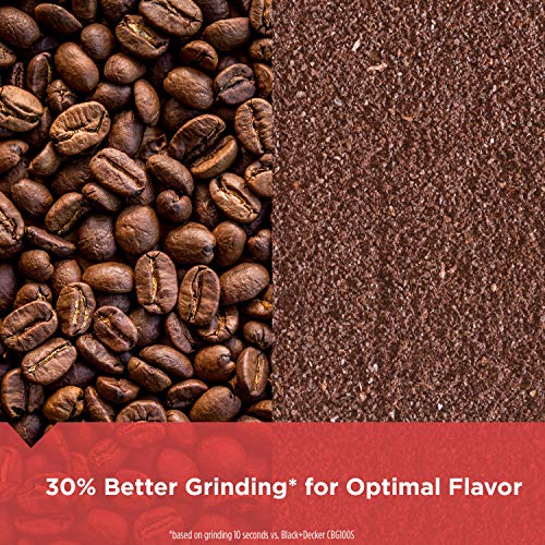 One Touch Coffee & Spice Grinder with Stainless Steel Blades