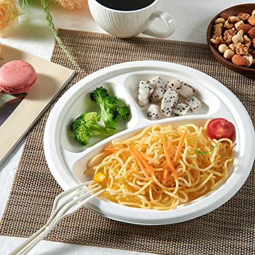 Compostable Paper Plates (150 Count)