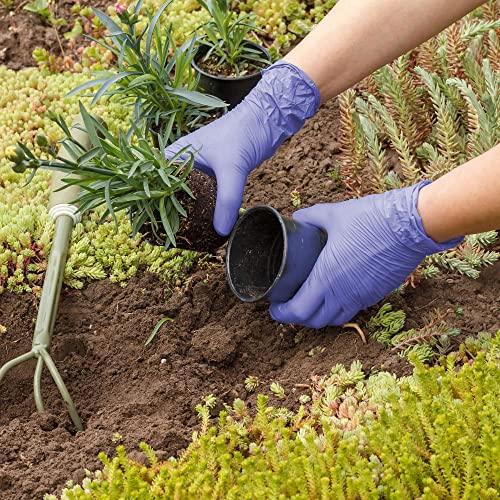 Biodegradable Disposable Nitrile Gloves X Small (150 Count)