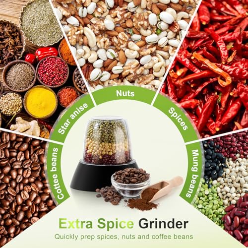 600W Electric Food Processor 10 Cup Large Bowl and 6.8oz Grinder Combo
