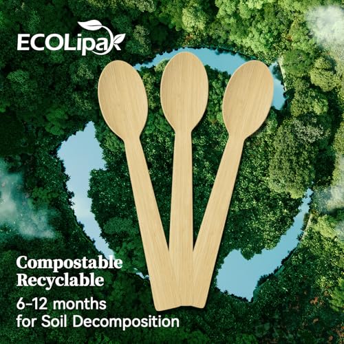 300 Count Disposable Compostable Bamboo Spoons for Party