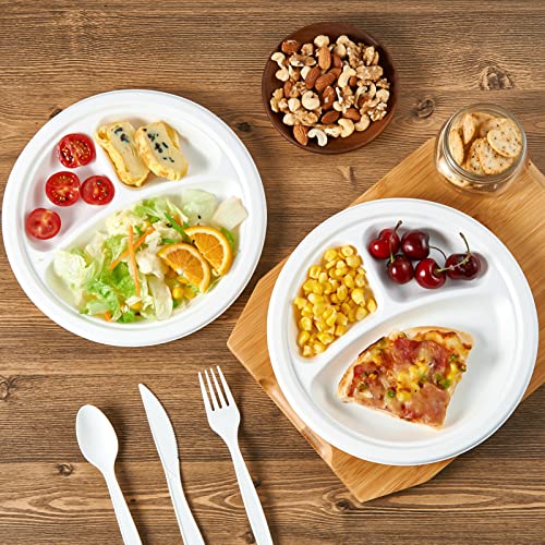 Compostable Paper Plates (150 Count)