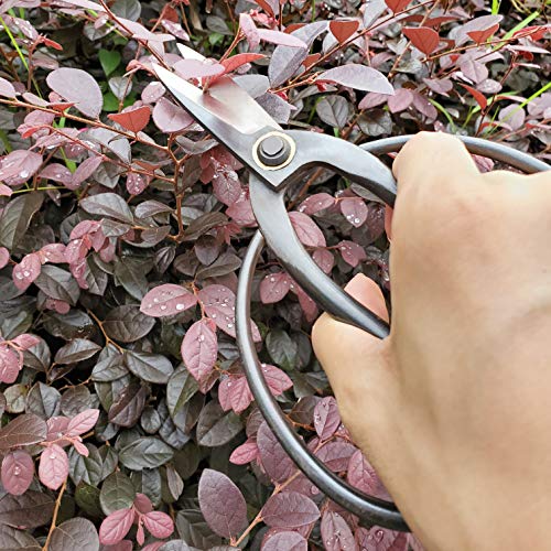 Professional 7.3" Bonsai Scissors