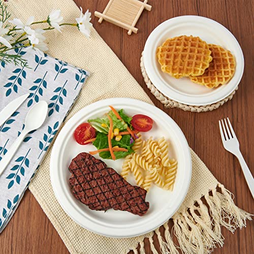 120 Pack Compostable Paper Plates Disposable (60 Count)