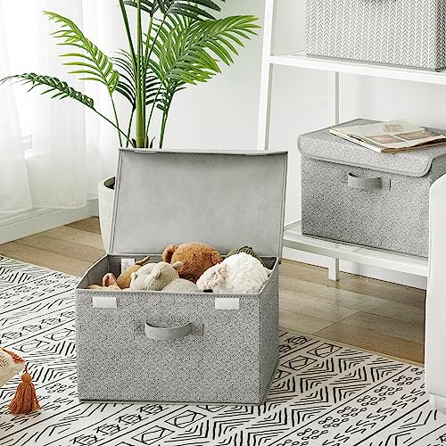 Storage Baskets with Lids (2 Count)