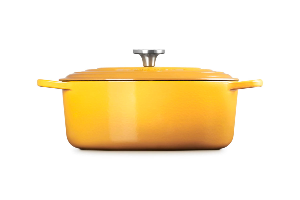 Enameled Cast Iron Oval Dutch Oven