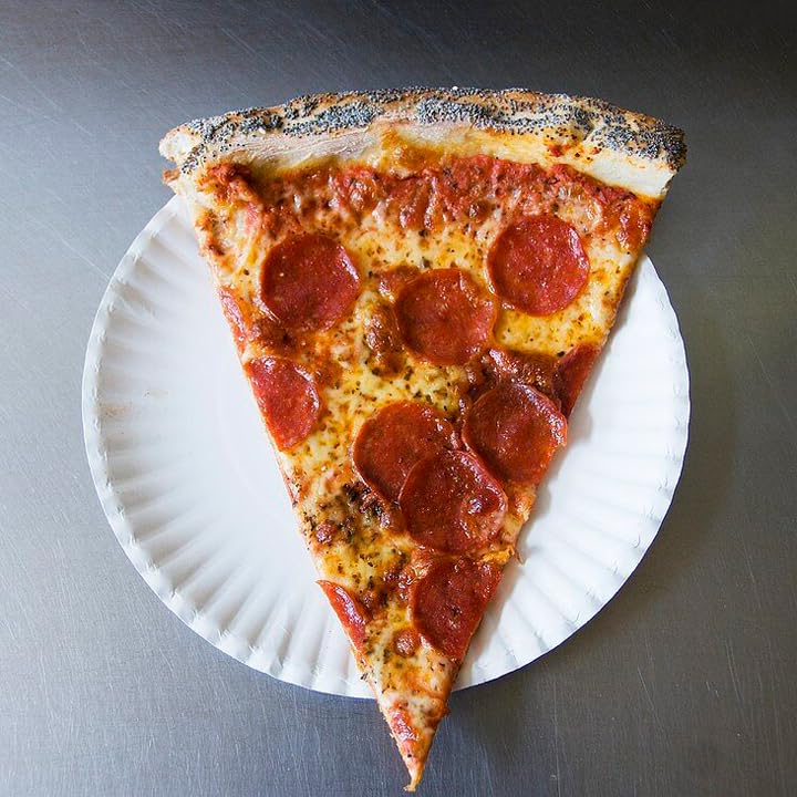 9 Inch Paper Plates Bulk (1200 Count)