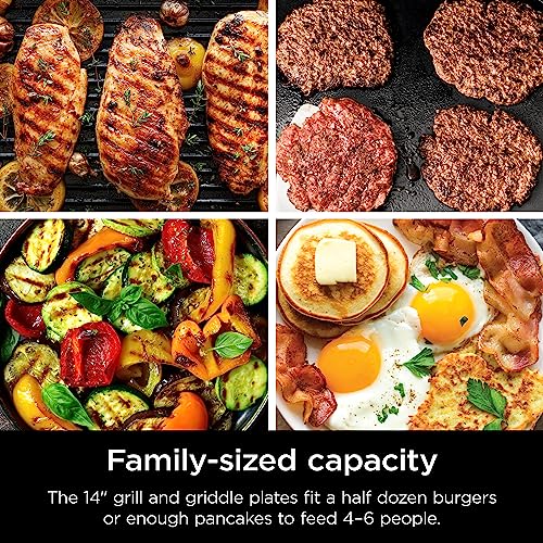 Sizzle™ Indoor Grill & Griddle