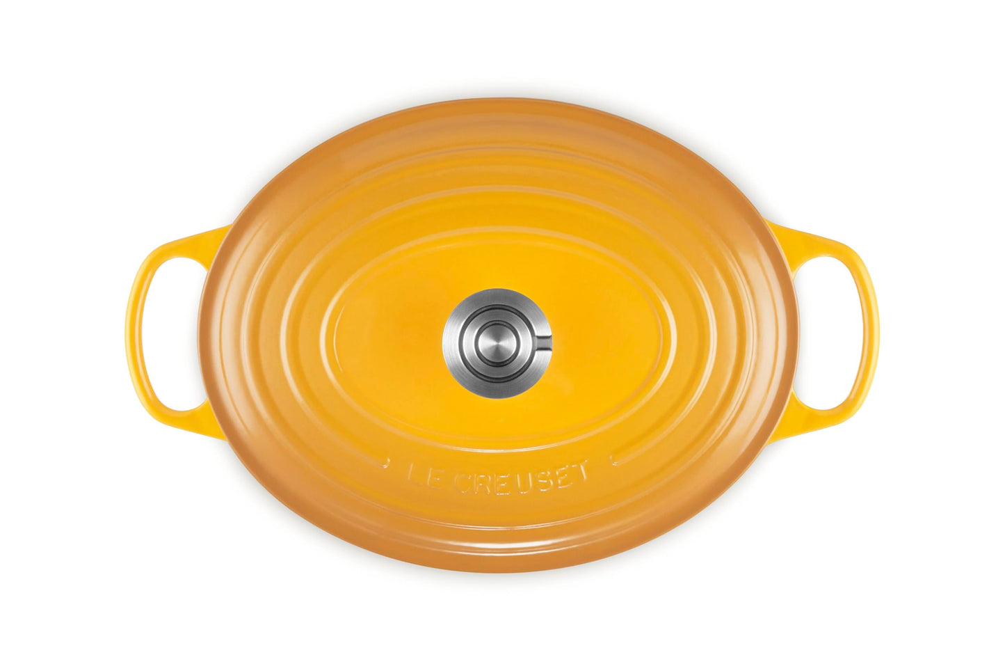 Enameled Cast Iron Oval Dutch Oven