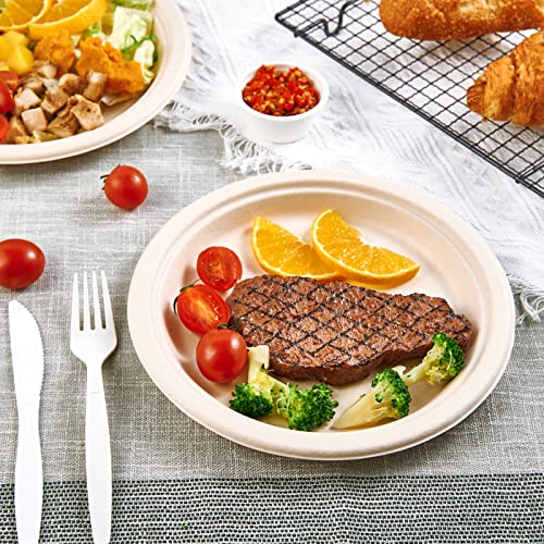 150 Pack Paper Plates 9 inch 100% Compostable (150 Count)