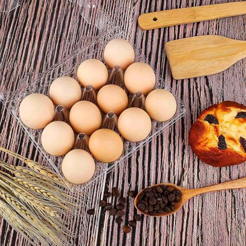 60Pack Duck Egg Cartons Cheap Bulk 1 Dozen Jumbo Egg Cartons (60 Count)