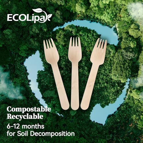 300 Count Compostable Wooden Disposable Forks for Party