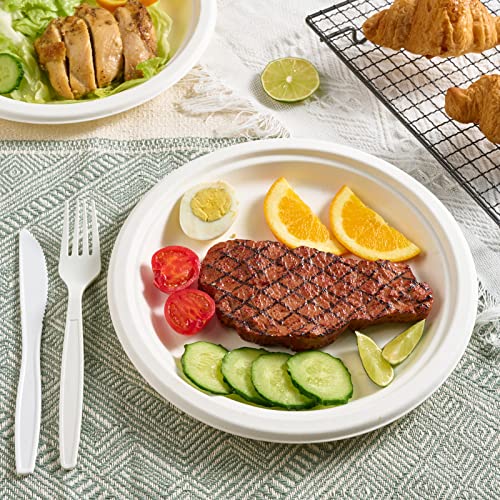 150 Pack Paper Plates 9 inch 100% Compostable (150 Count)