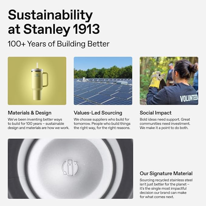 STANLEY Quencher H2.0 Tumbler with Handle and Straw 14 oz | Flowstate 3-Position Lid | Cup Holder Compatible for Travel | Insulated Stainless Steel Cup | BPA-Free | Spring Green