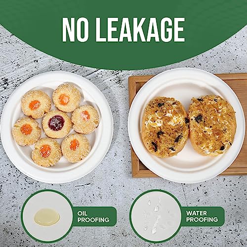 White Disposable Paper Plate 7 inch (100 Count)