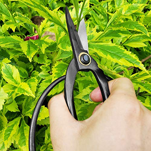 Professional 7.3" Bonsai Scissors